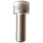 NEWPORT FASTENERS M12-1.75 Socket Head Cap Screw, Plain 316 Stainless Steel, 25 mm Length, 300 PK 477791-300